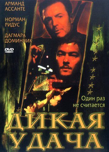 Фильм  Дикая удача (2003) скачать торрент