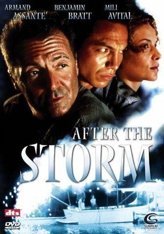 Фильм  После шторма (2001) скачать торрент