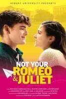 Не твои Ромео и Джульетта (WEB-DLRip) торрент скачать