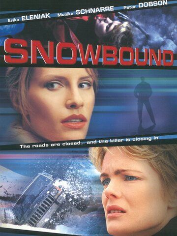 Фильм  Занесенный снегом (2001) скачать торрент