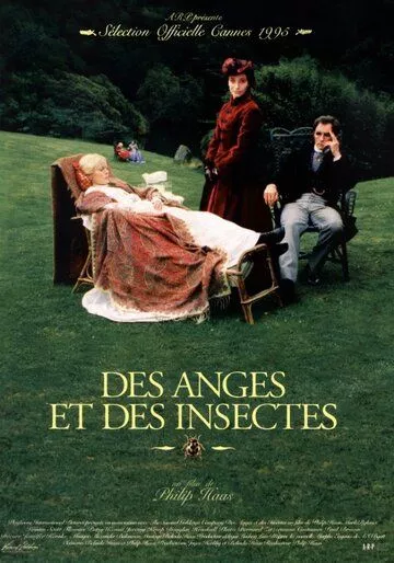 Фильм  Ангелы и насекомые (1995) скачать торрент