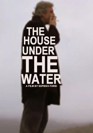 Фильм  Дом под водой (2010) скачать торрент